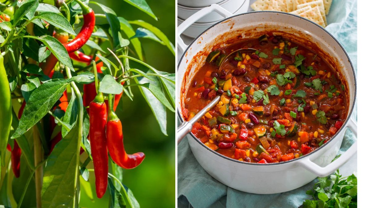 The Best Veggies to Grow for Plant-Based Chili