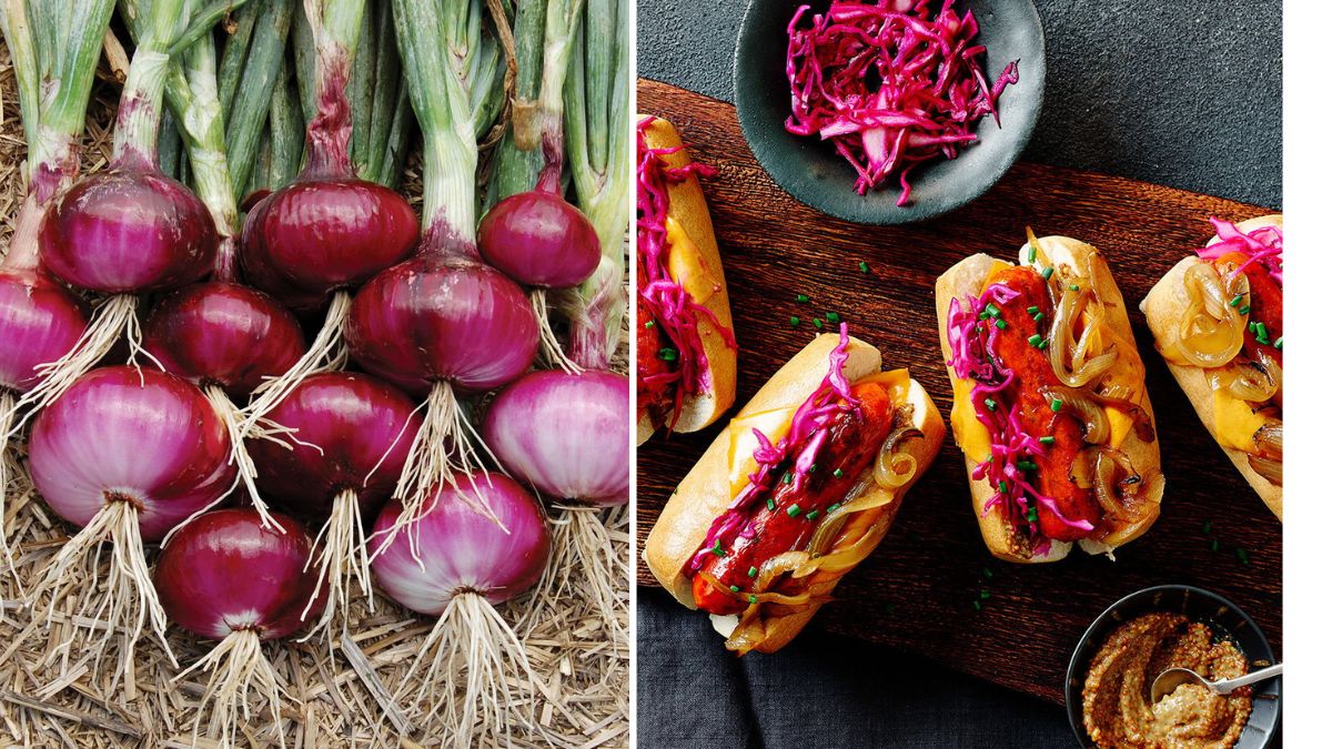 How to Grow Onions for Topping Homemade Veggie Dogs