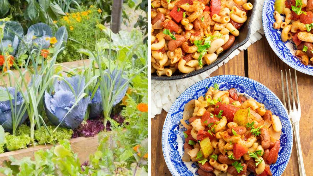 Garden-to-Table Chili Mac: Grow and Cook at Home