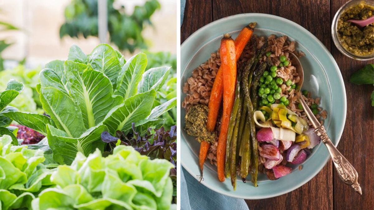 What to Grow in Spring for Fresh Veggie Bowls