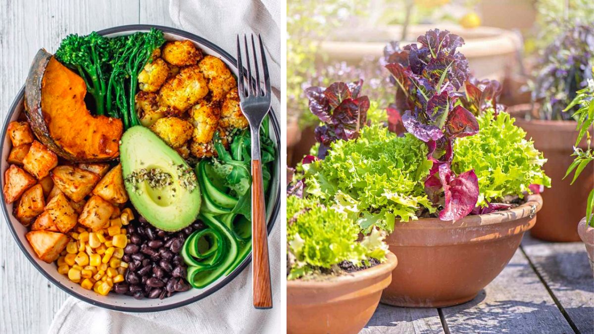 Grow What You Eat: DIY Veggie Lunch Bowl Garden