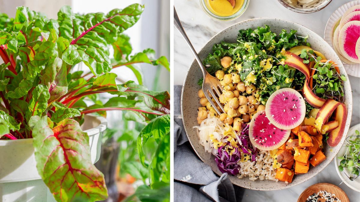 Why You Should Grow Veggies for a Vegetarian Lifestyle