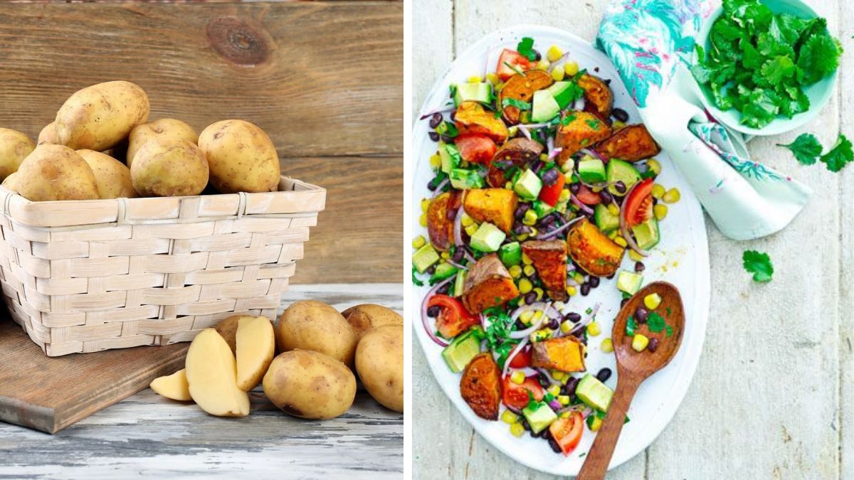 How to Cultivate Potatoes for Healthy Vegetarian Cooking