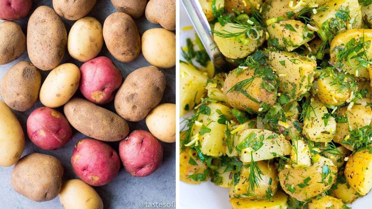 Garden-Fresh Potatoes for Your Meatless Monday Meals