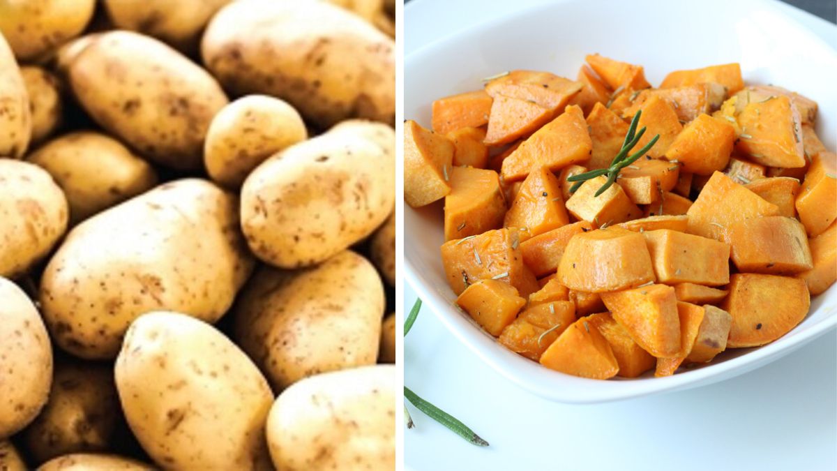 From Patch to Plate: Your Homegrown Potato Journey