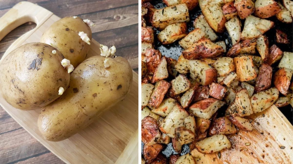 Potatoes You Grow Yourself for a Greener Kitchen