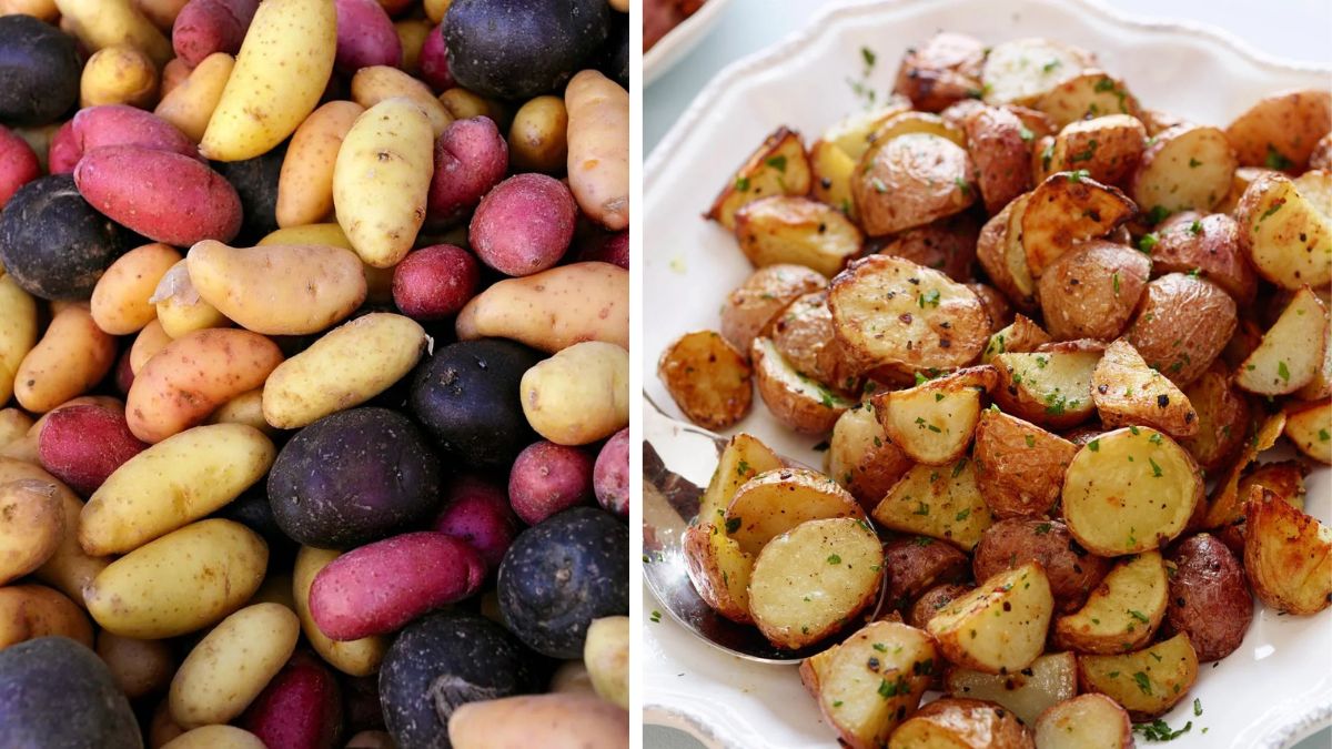 Backyard Potatoes for a Fresh and Flavorful Vegetarian Menu