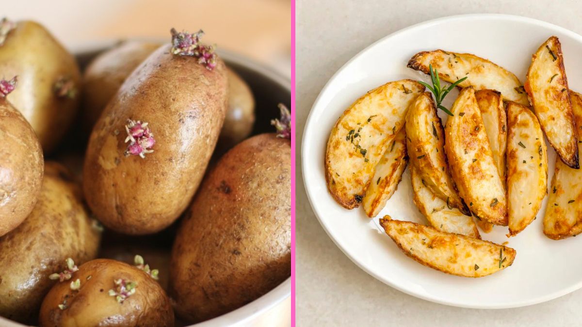 Grow Potatoes for the Ultimate Vegetarian Comfort Bowl