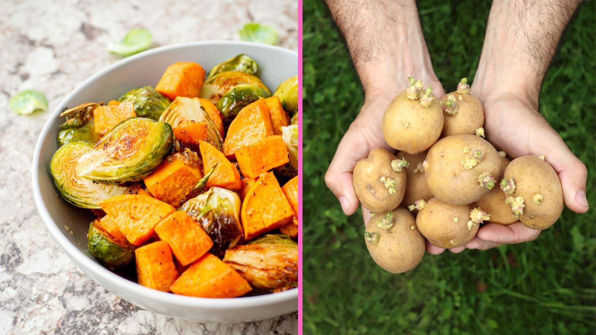 From Sprout to Supper: Potatoes for Plant-Based Meals