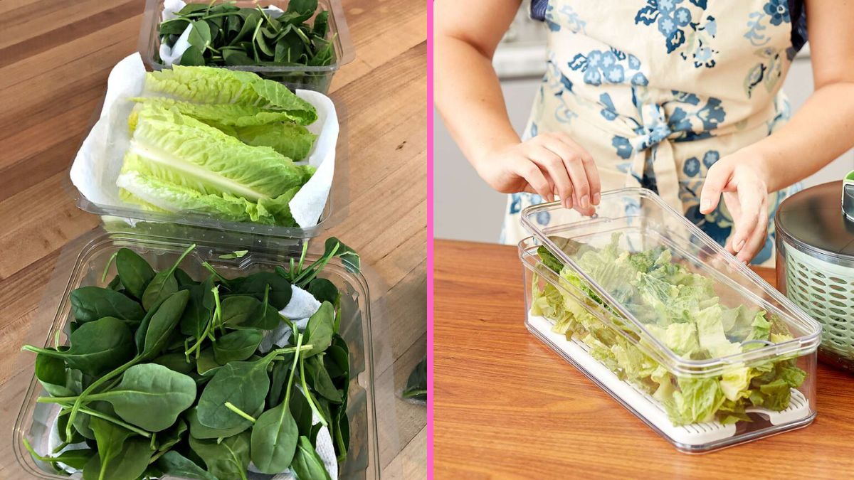 I stored lettuce with paper towels and it stayed fresh for days longer