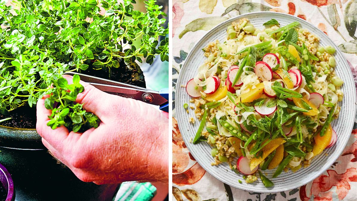 Plant It, Pick It, Plate It: Vegetarian Cooking from the Garden