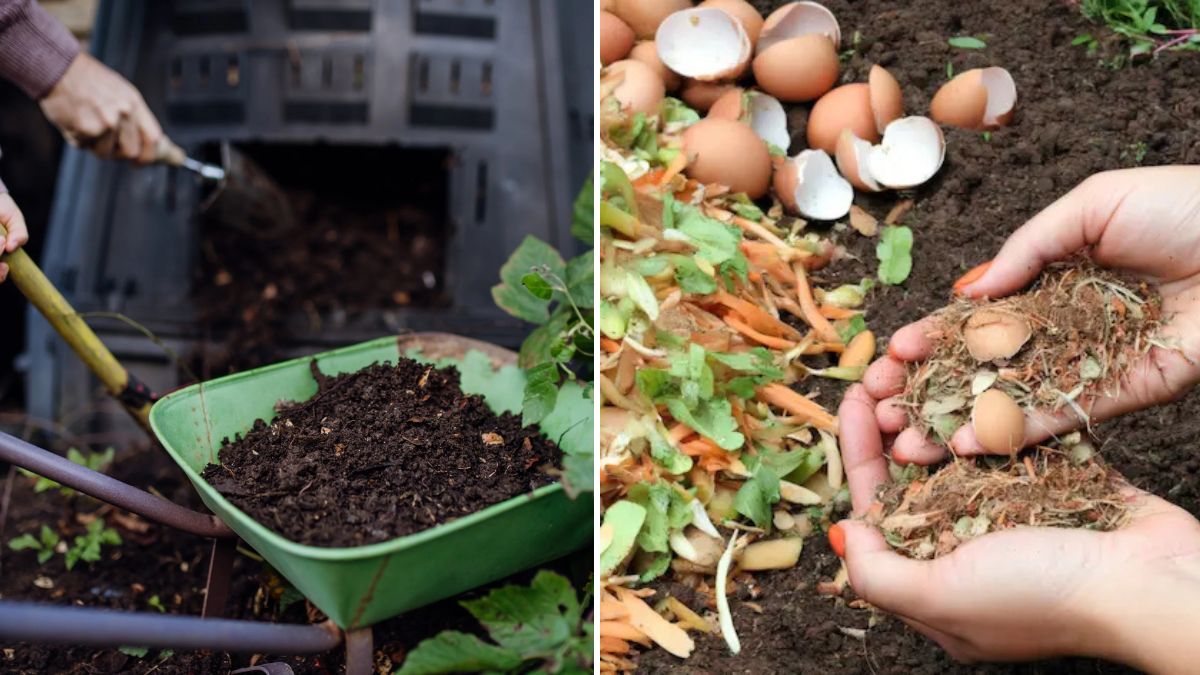 How to Make Compost from Everyday Kitchen Waste