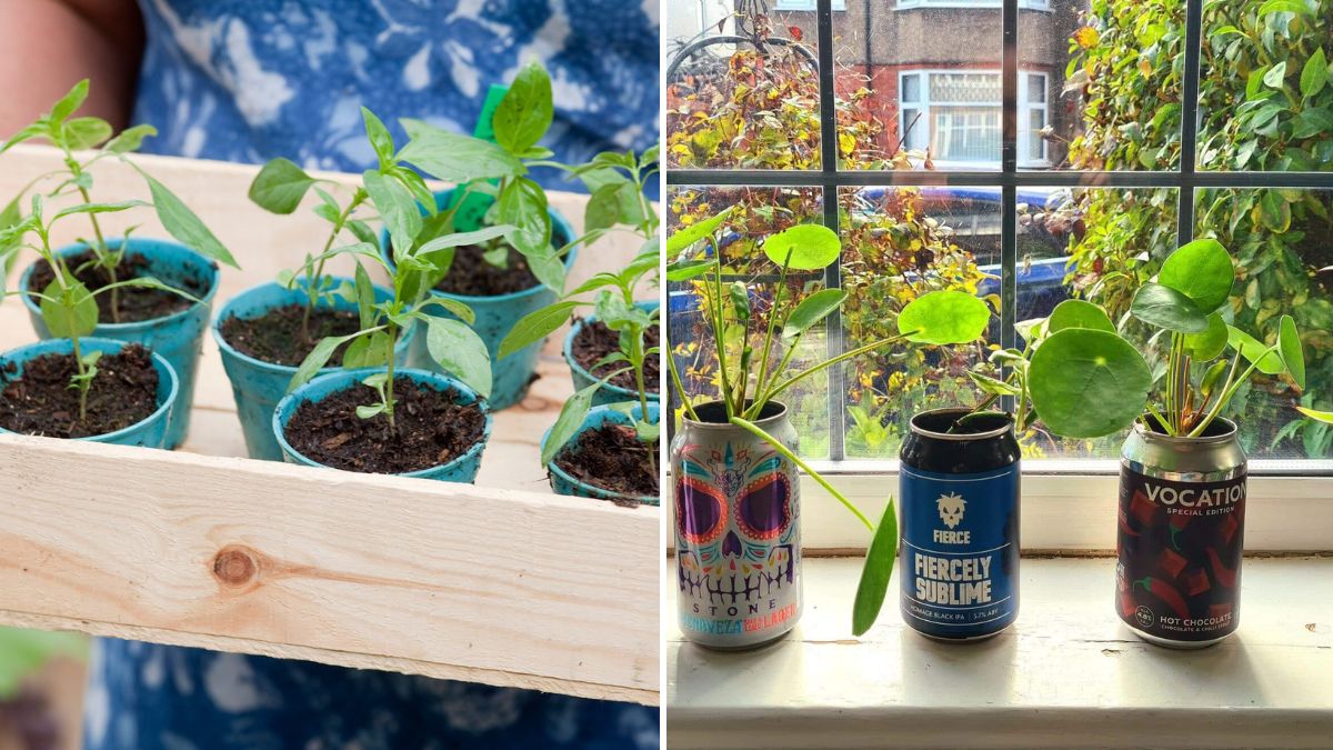 How to Reduce Plastic Use in Your Gardening Routine