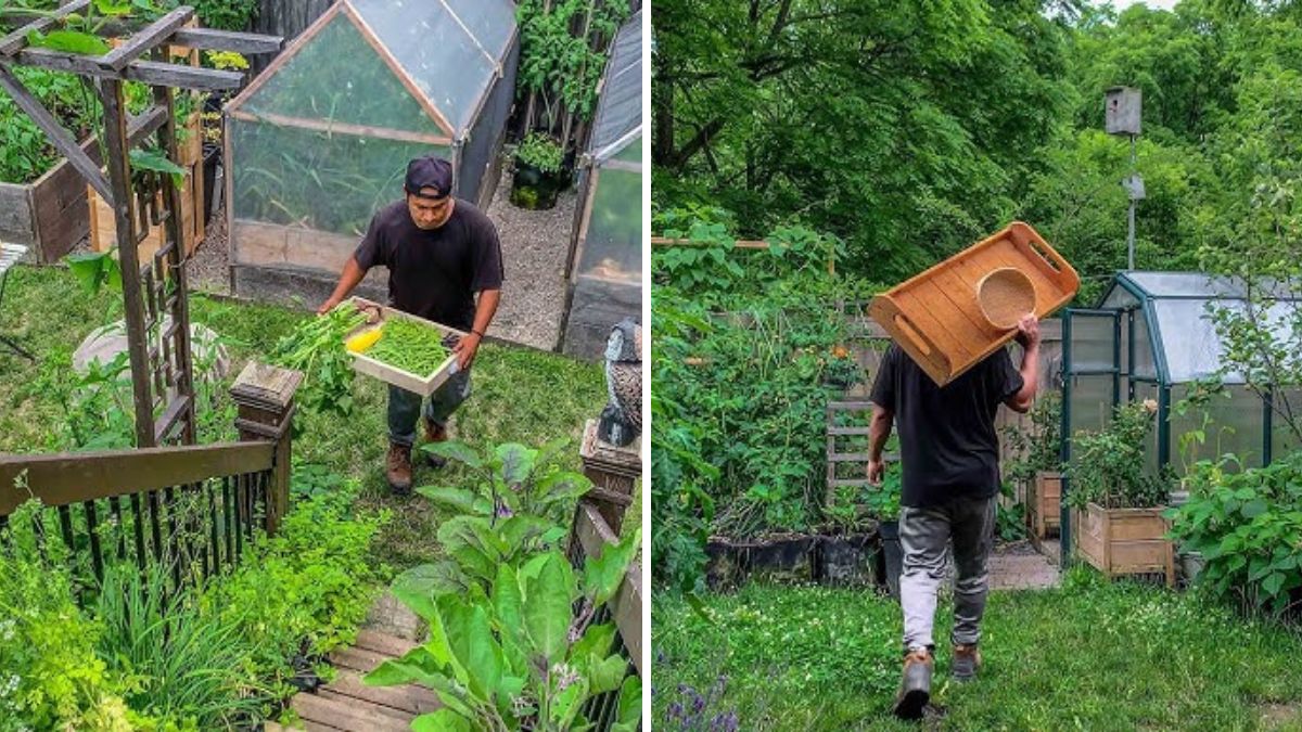 How Cheap Plastic Tubs Destroyed Our Garden — And How Metal Planters Brought It Back to Life!