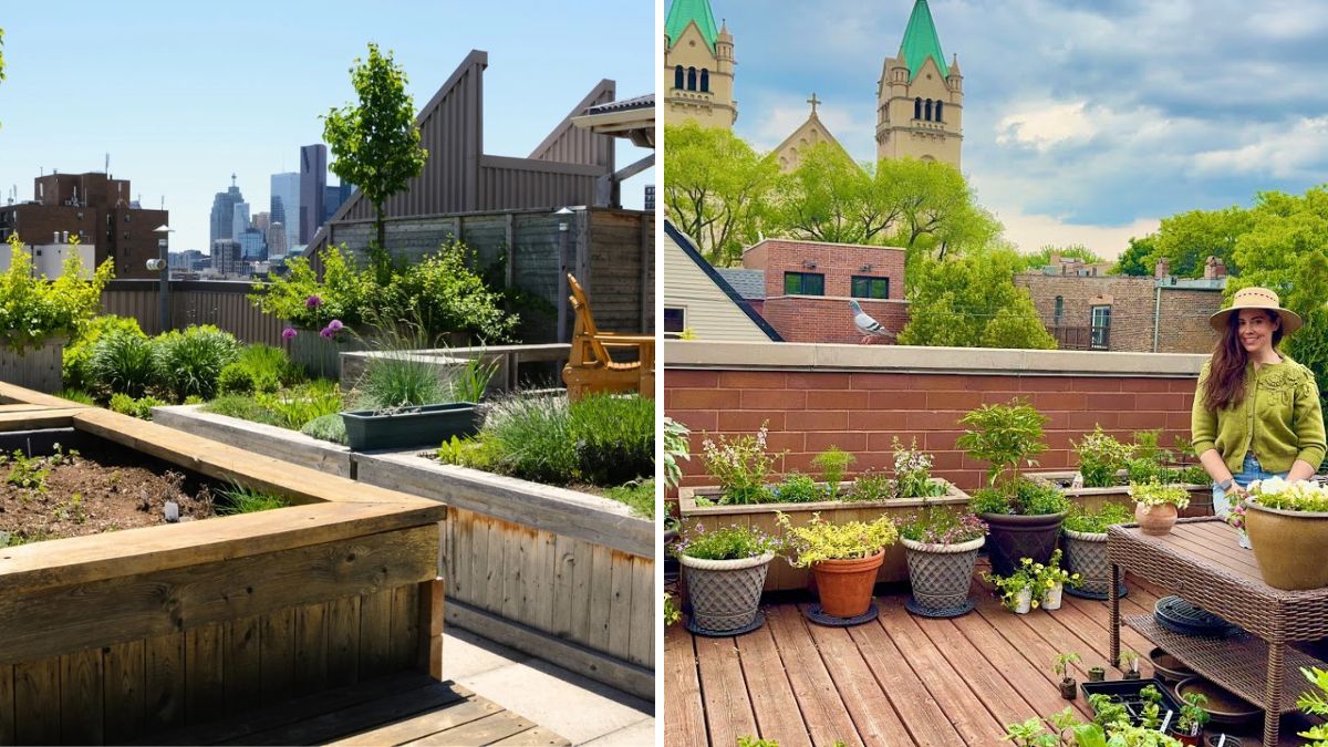 Homegrown Haven: Essential Tips to Transform Your Space Into a Thriving Green Paradise