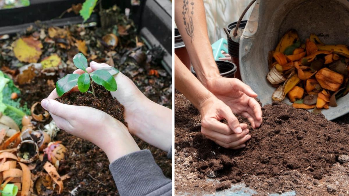 Turn Kitchen Waste Into Black Gold: The Ultimate Guide to Making Organic Mini Compost at Home (Beginner-Friendly!)